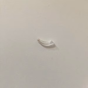 Earhook W. Damper H2860
